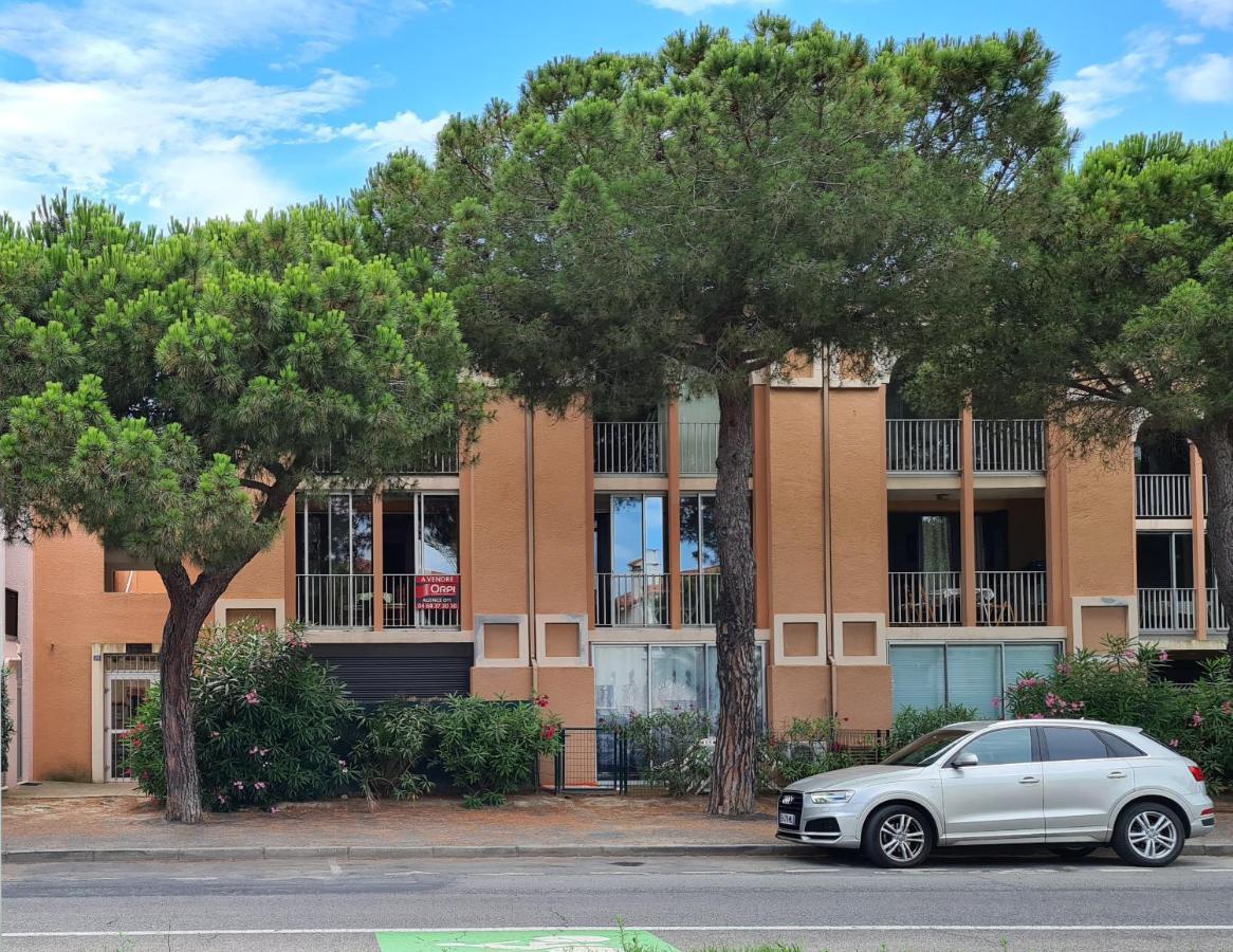 Superbe T2 Climatise, Proche Plage Avec Parking Prive Saint-Cyprien (Pyrenees-Orientales) Exterior foto